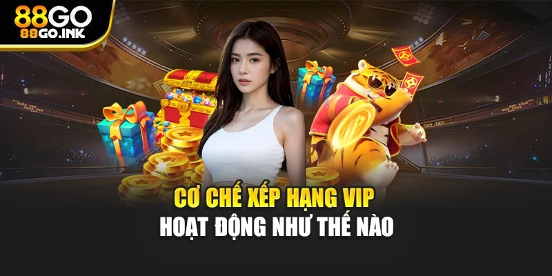 Cơ chế xếp hạng VIP hoạt động như thế nào