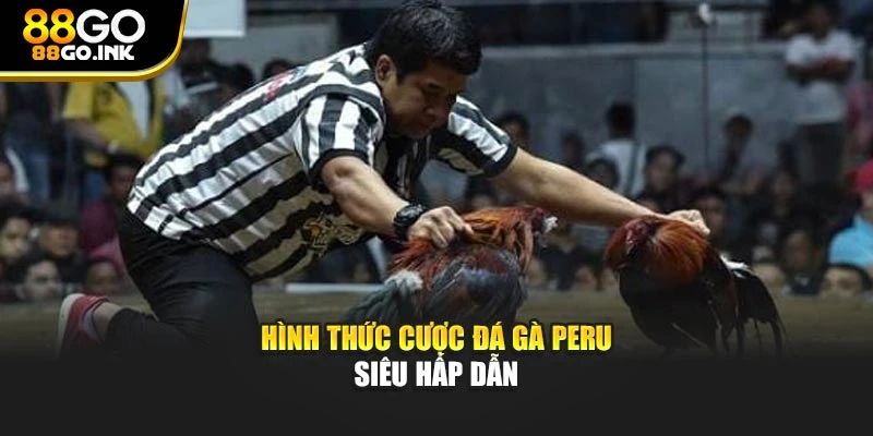 Hình thức cược đá gà Peru siêu hấp dẫn