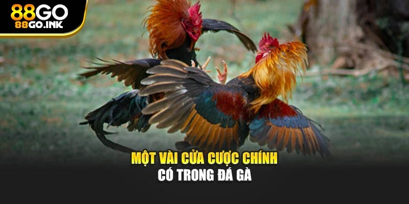 Một vài cửa cược chính có trong đá gà