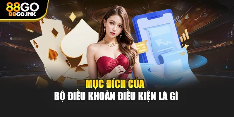 Mục đích của bộ điều khoản điều kiện là gì