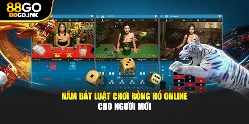 Nắm bắt luật chơi Rồng Hổ online cho người mới
